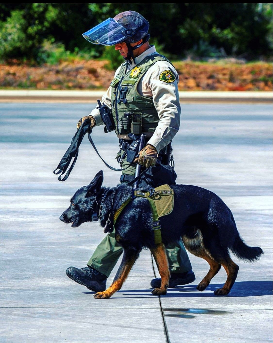 What Police K9 Equipment Should A Police Officer Purchase?